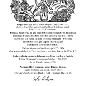 Sven Lagerbring: Şansölyelik Danışmanı ve Şövalye Bay Johan Ihre‘ye İsveççe ve Türkçe Dillerinin Benzerliği Üzerine Mektup (E-Kitap) - Görsel 5